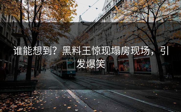 谁能想到？黑料王惊现塌房现场，引发爆笑