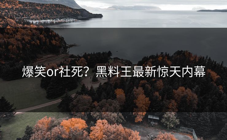 爆笑or社死？黑料王最新惊天内幕