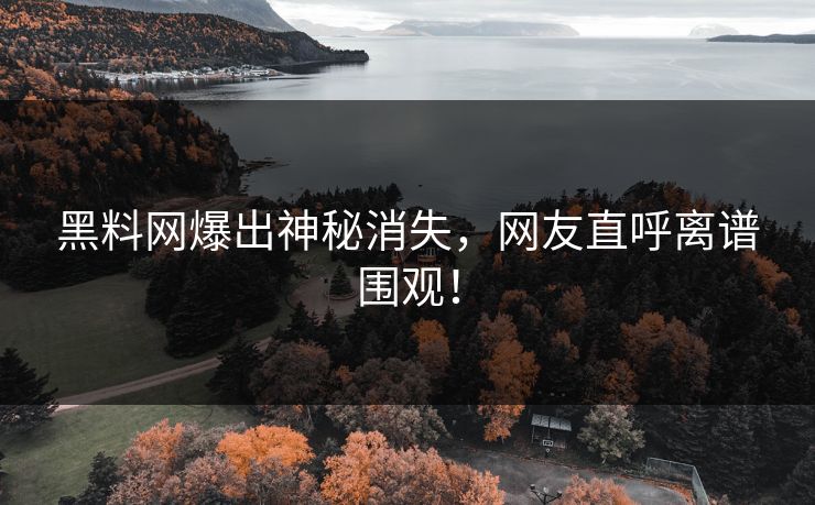 黑料网爆出神秘消失，网友直呼离谱围观！