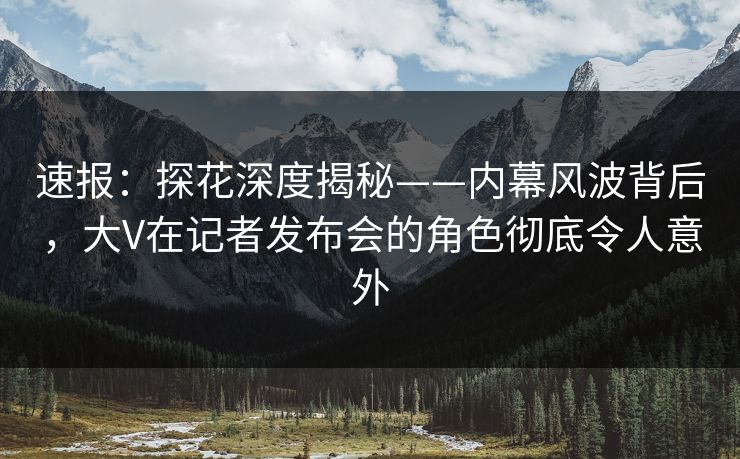 速报：探花深度揭秘——内幕风波背后，大V在记者发布会的角色彻底令人意外