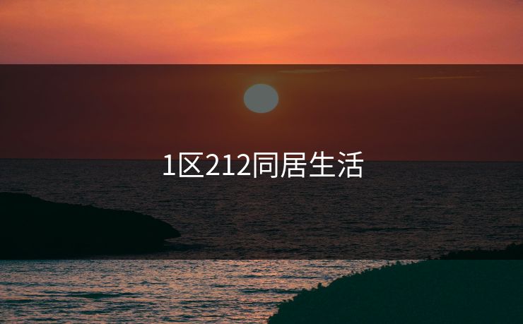 1区212同居生活